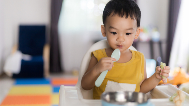 Having Problems Feeding Your Toddler Healthy Food? These Tips Can Help