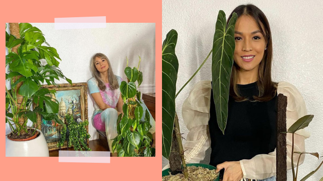 Aubrey Miles Earned P850K Selling Plants! How To Make Money Being A 'Halamom'