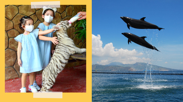 Pasyal Na! Zoos, Farms, And Ocean Parks Around The Metro For Kids Who Are Animal Lovers