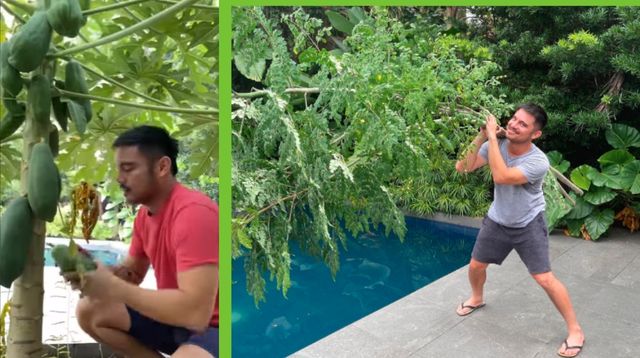 Marvin Agustin Gets Ingredients For Cooking From His Garden: 'Laking Tipid'