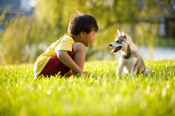 Child and a dog