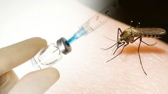 Approved! The World's First Ever Dengue Vaccine
