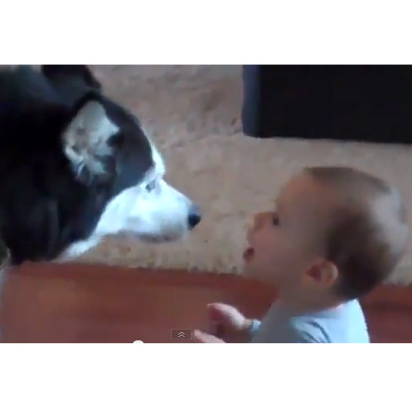 This Made our Day: Dog Mimics Baby's Babbling
