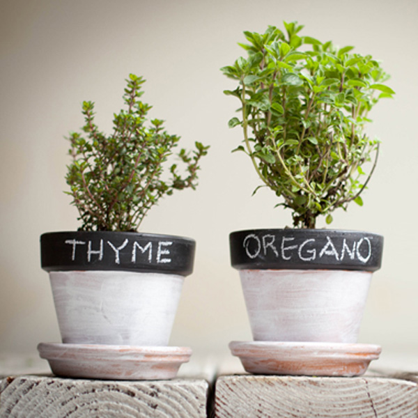 Mommy Hack Of The Week: Extend The Life Of Your Herbs