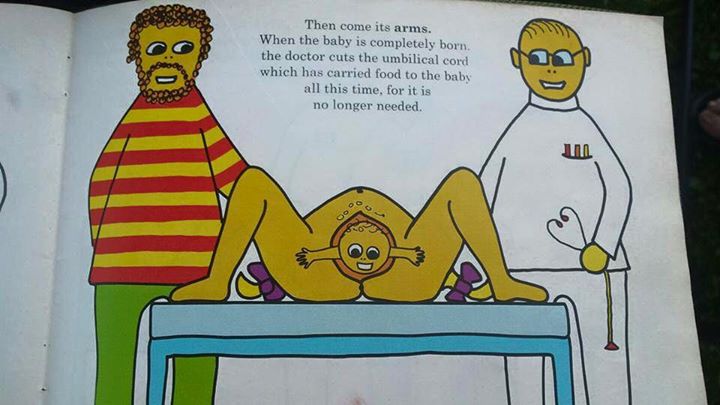 How a Baby is Made