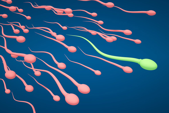 5 Factors That Could Lower A Man's Sperm Count