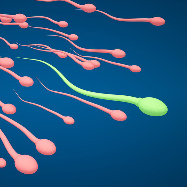 5 Factors That Could Lower A Man's Sperm Count