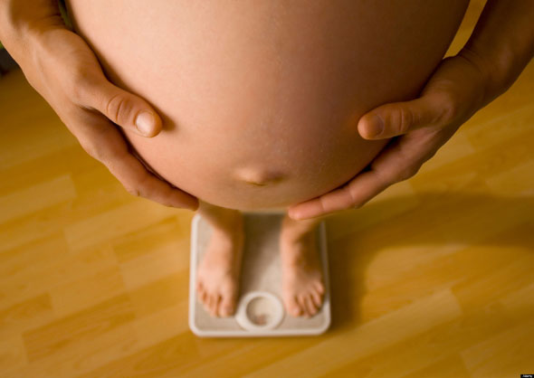 Obese Pregnant Women