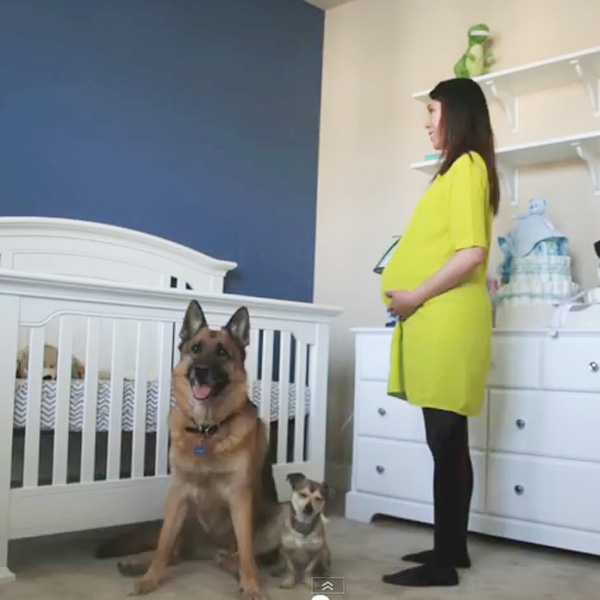 This Made our Day: Couple Documents Pregnancy with a Time Lapse Video