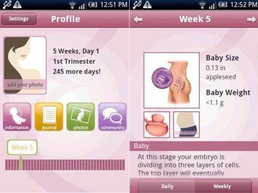 pregnancy app android