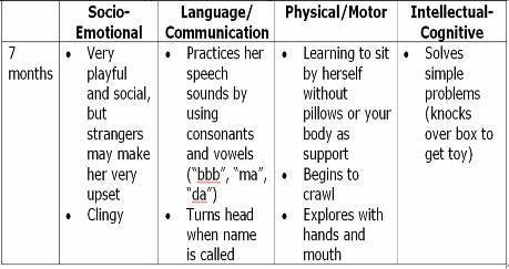 seven month old development