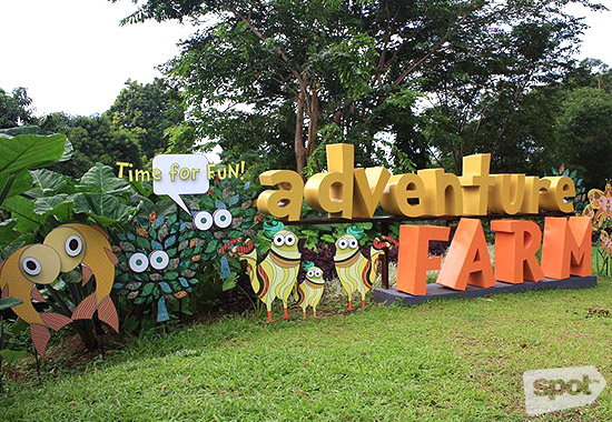 Adventure 2025 farm timberland