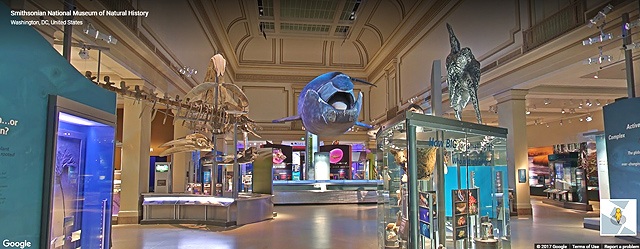 google museum view