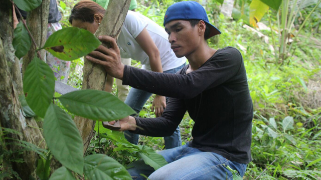 Help Local Farmers With Vita Coco Coconut Water