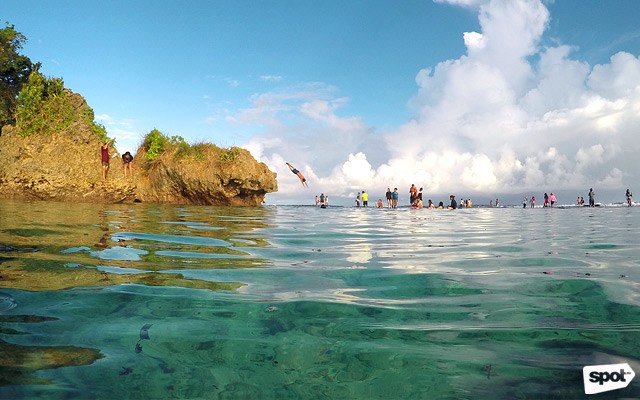 SUGBA LAGOON (CAOB ISLAND) — Kermit