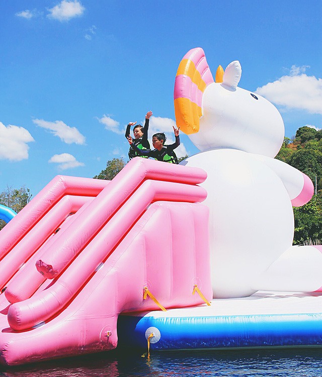 Unicorn store island float