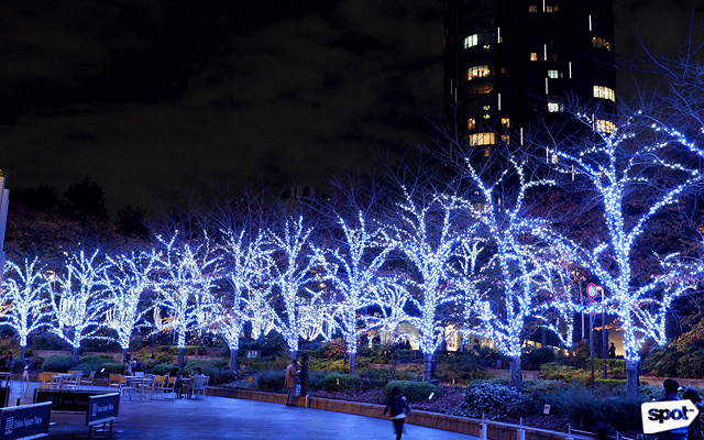 Tokyo Opens Its Christmas Display Called Tokyo Midtown Illumination