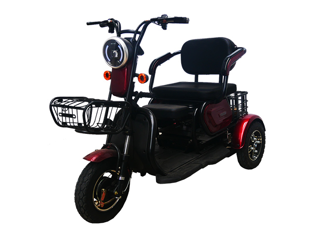 tricycle electric bike