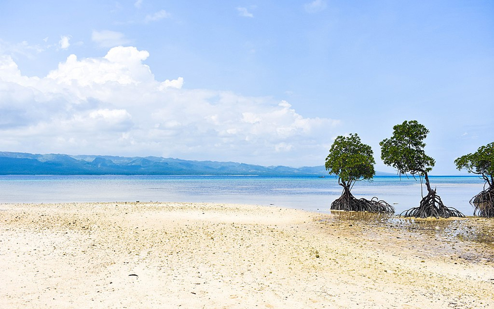 Beaches Near Manila Best for Roadtrips