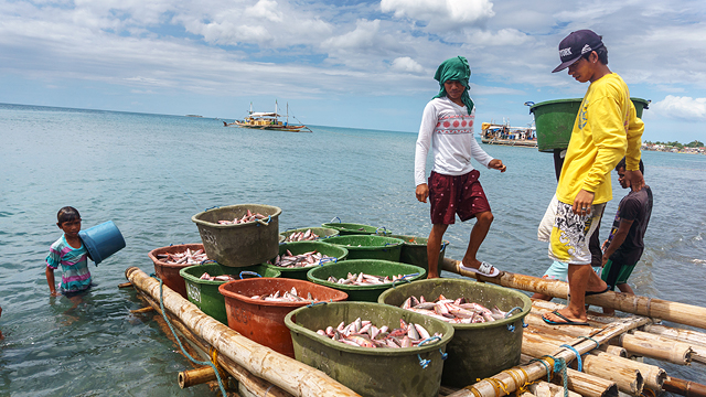 west philippine sea