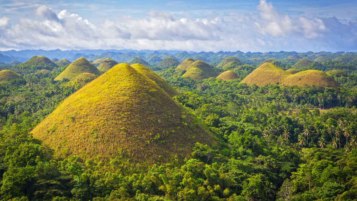 Official Bohol Travel Requirements During Pandemic
