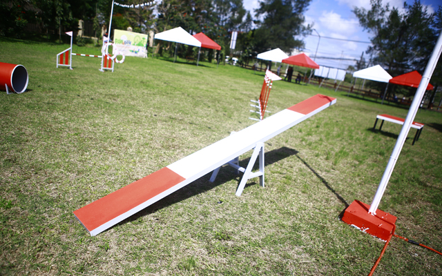 tagaytay dog park