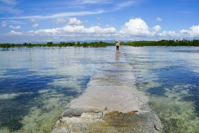 olango island