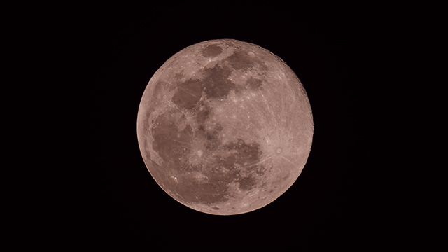 pink supermoon