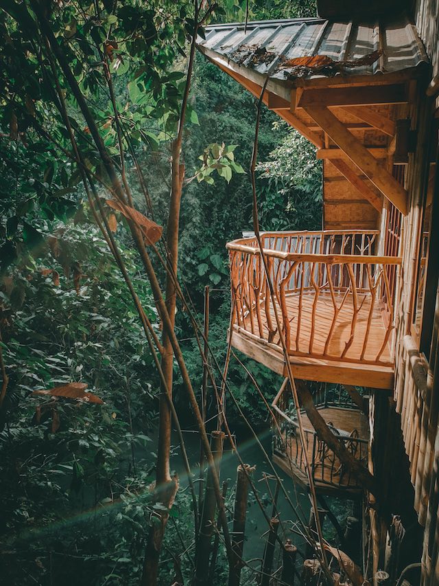 Treehouse De Valentine