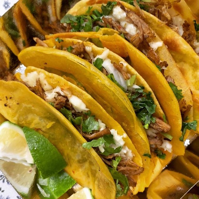 birria taco