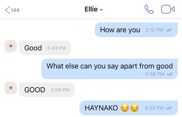 ellie eigenmann funny texts to jake ejercito