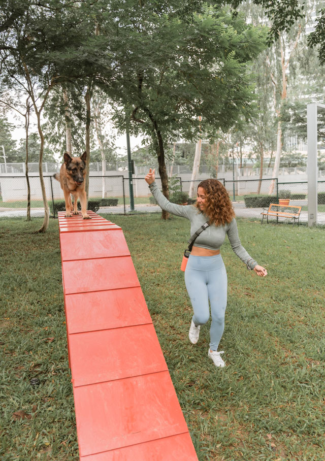 BGC Central Bark off leash dog park