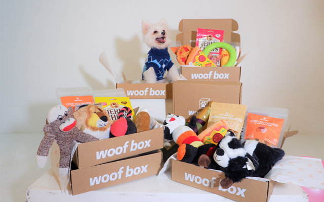 Dog subscription box: WoofBoxPH