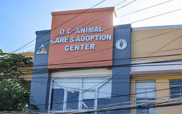 quezon city animal care and adoption center