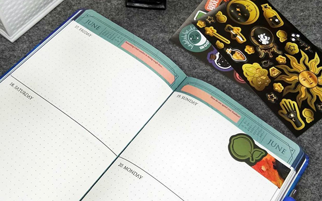 limelight 365 days planner 2022