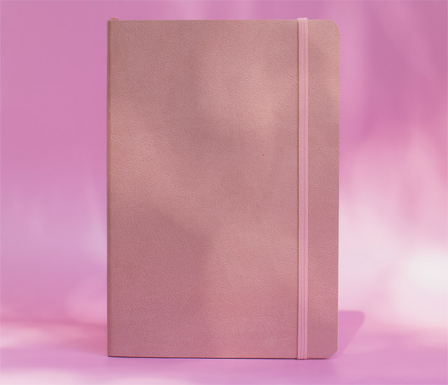 The Everyday slims planner