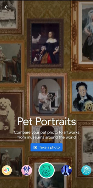 pet portraits