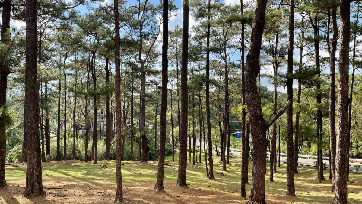 Baguio City Feb. 2022 Travel Guide, Requirements, Places to Visit