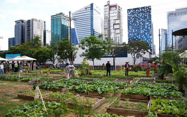 bgc urban farm