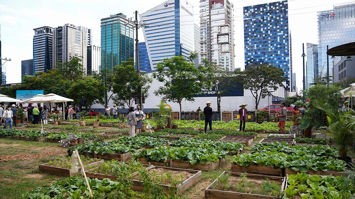 Urban Farm Opens in Bonifacio Global City