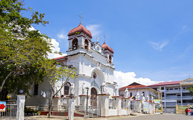 cebu heritage church carcar