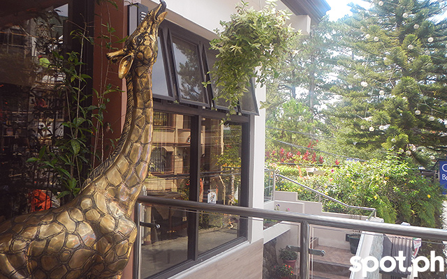 giraffe boutique hotel garden