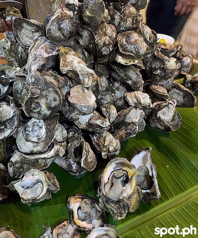 roxas city oysters