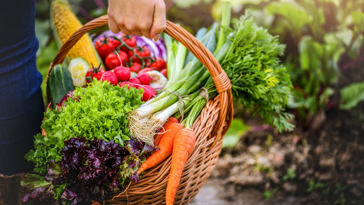 Online Markets for Fresh Fruits, Vegetables Metro Manila