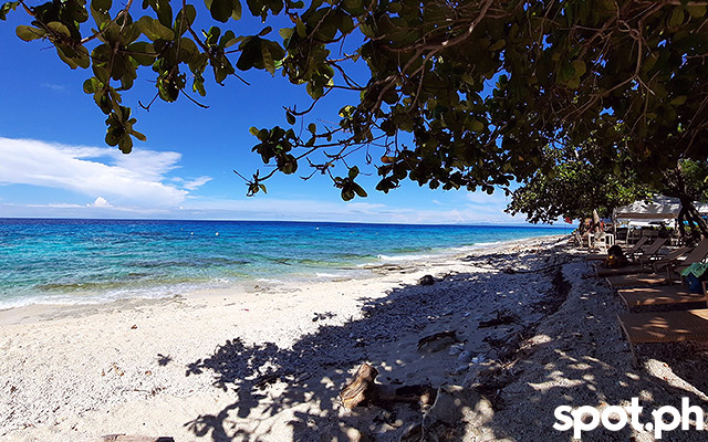 bluewater sumilon island resort beach
