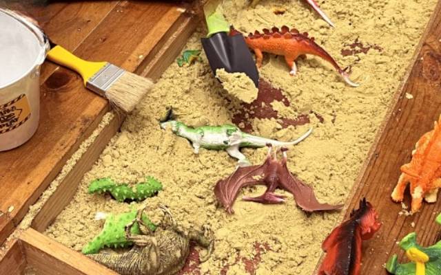 Sand box with Toy Dinosaurs