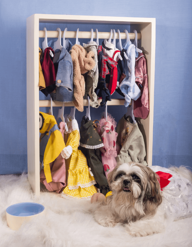 pets cute finds pet beddies mini closet space