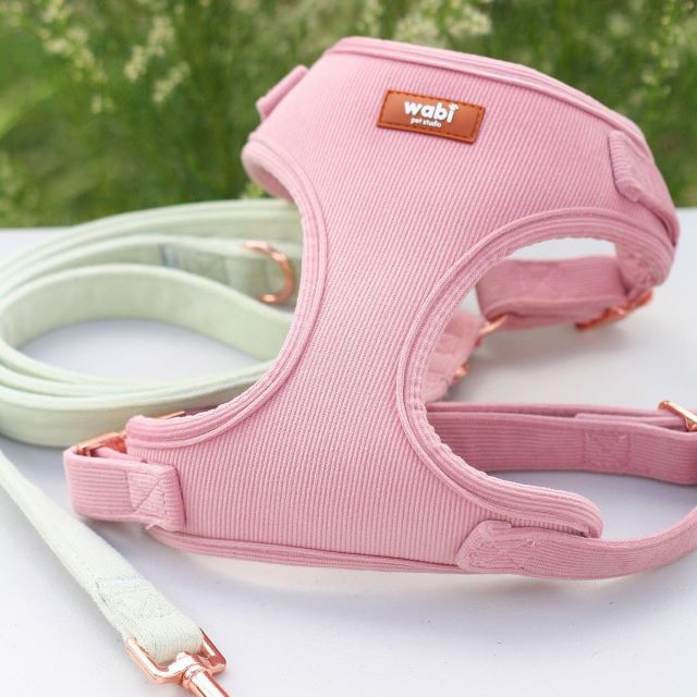 pets cute finds wabi pet studio harness and leash set