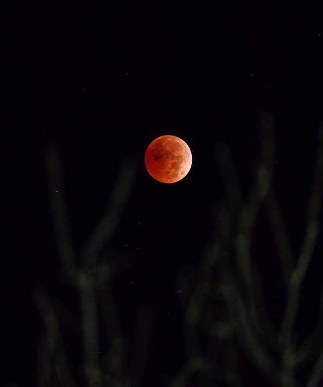 Total Lunar Eclipse_Ken Luceñara_3_USA
