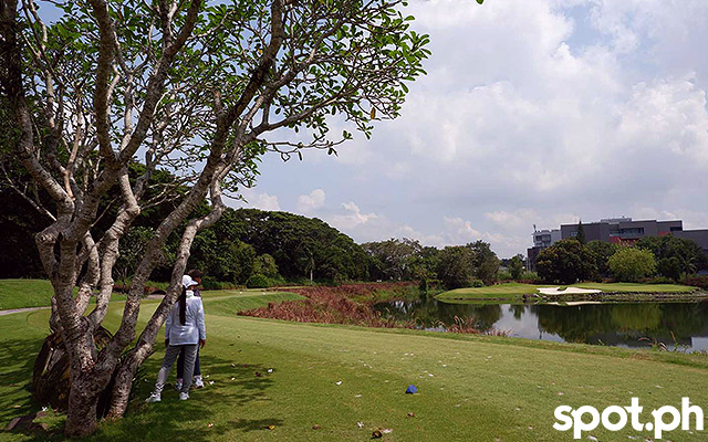 128-hectare Mimosa Golf Course 